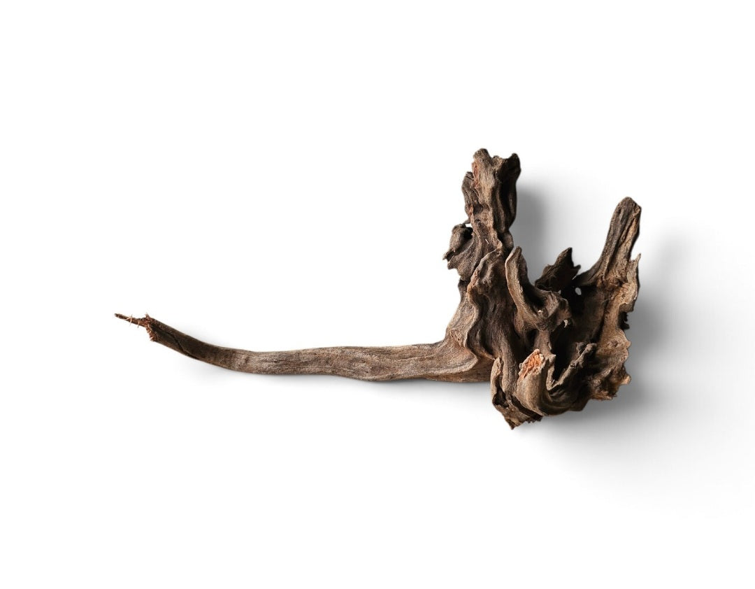 Coral Sinker Wood Nr. 107