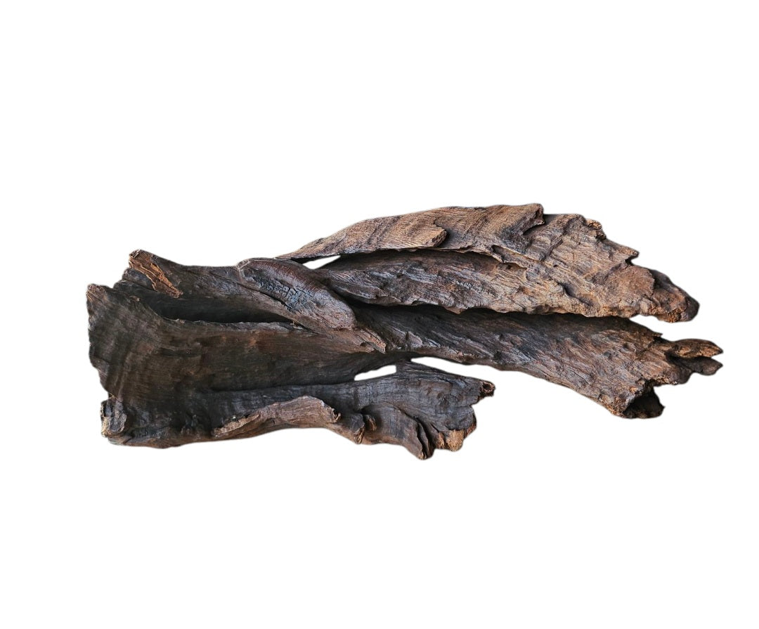 Driftwood / Flusswurzel Nr.751