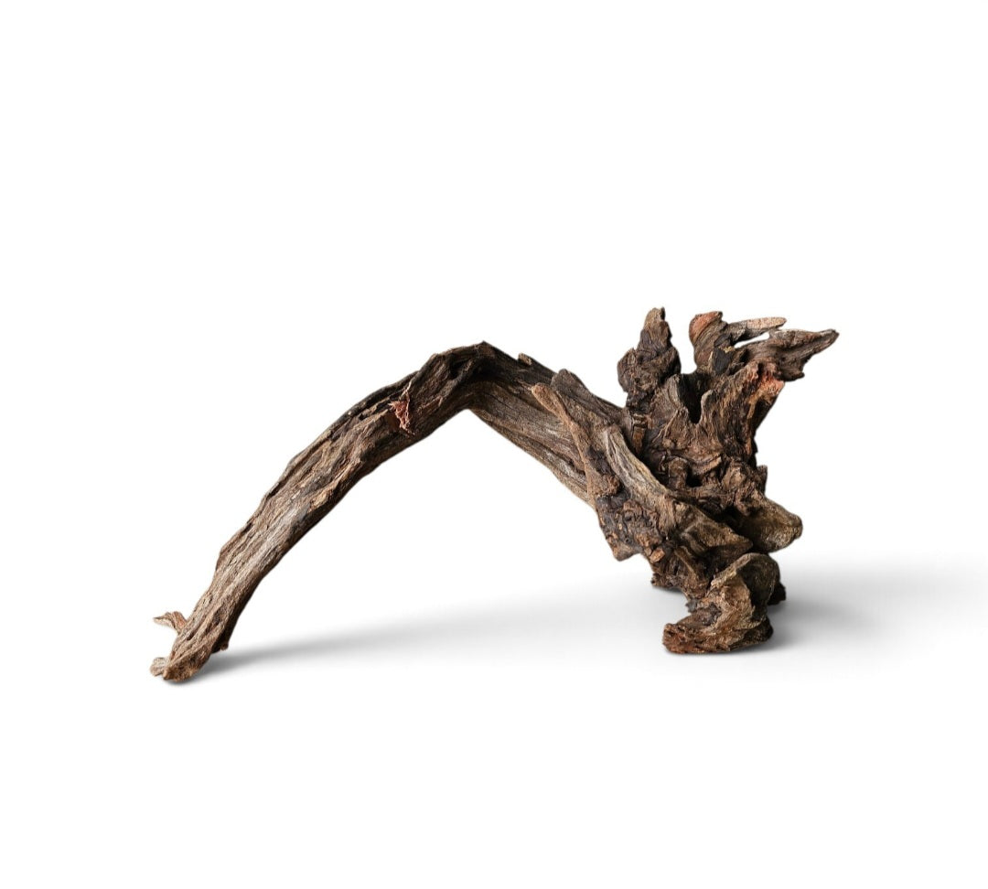Coral Sinker Wood Nr.606