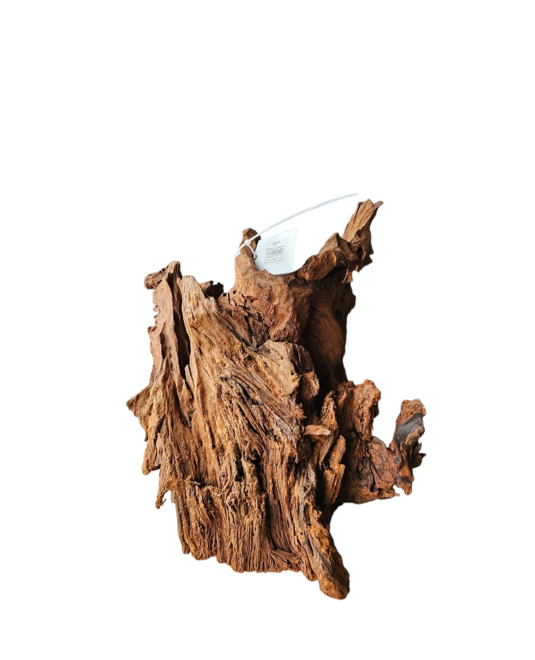 Mangrove Größe XL / Nr.383