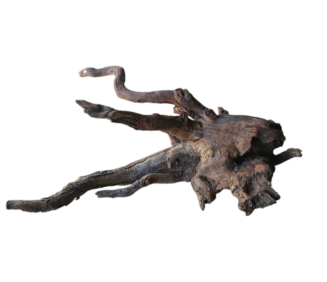 Driftwood / Flusswurzel Nr. 485