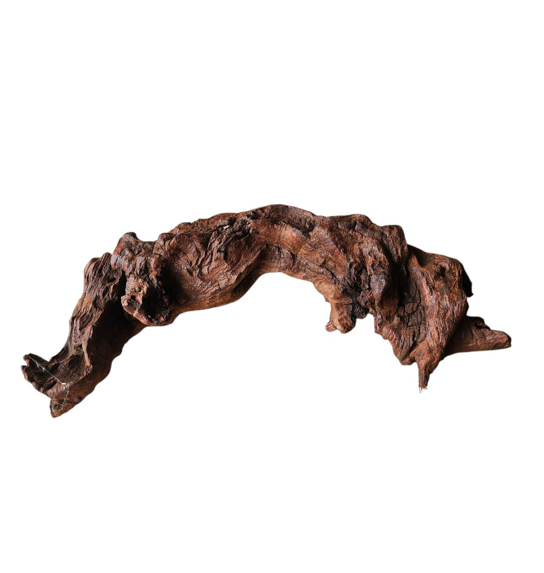 Driftwood / Flusswurzel Nr. 480