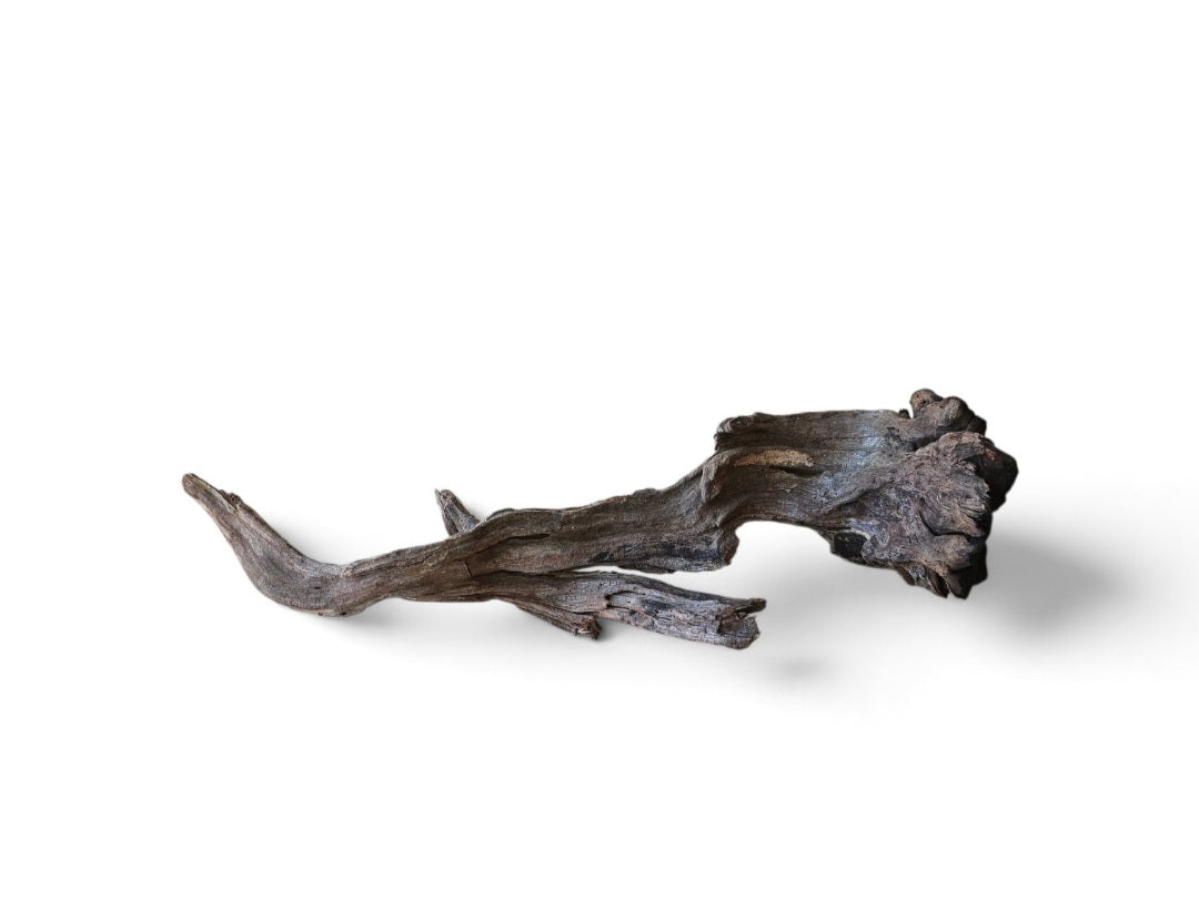 Coral Sinker Wood Nr.642