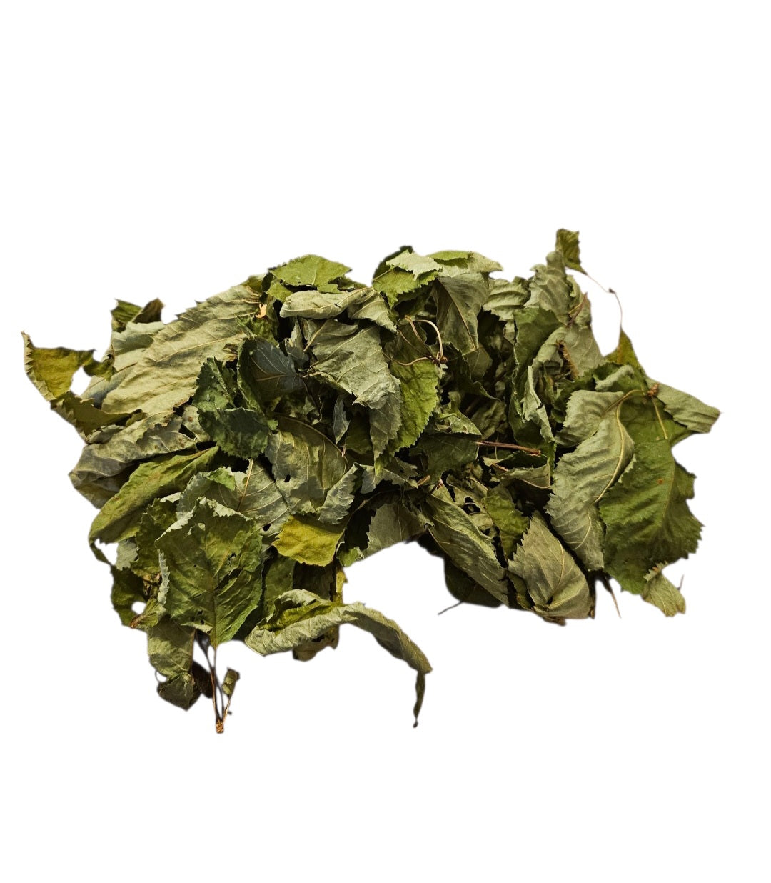 Wildkirschblätter grün getrocknet 30 Stück