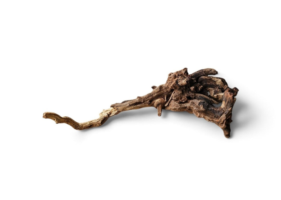 Coral Sinker Wood Nr.616