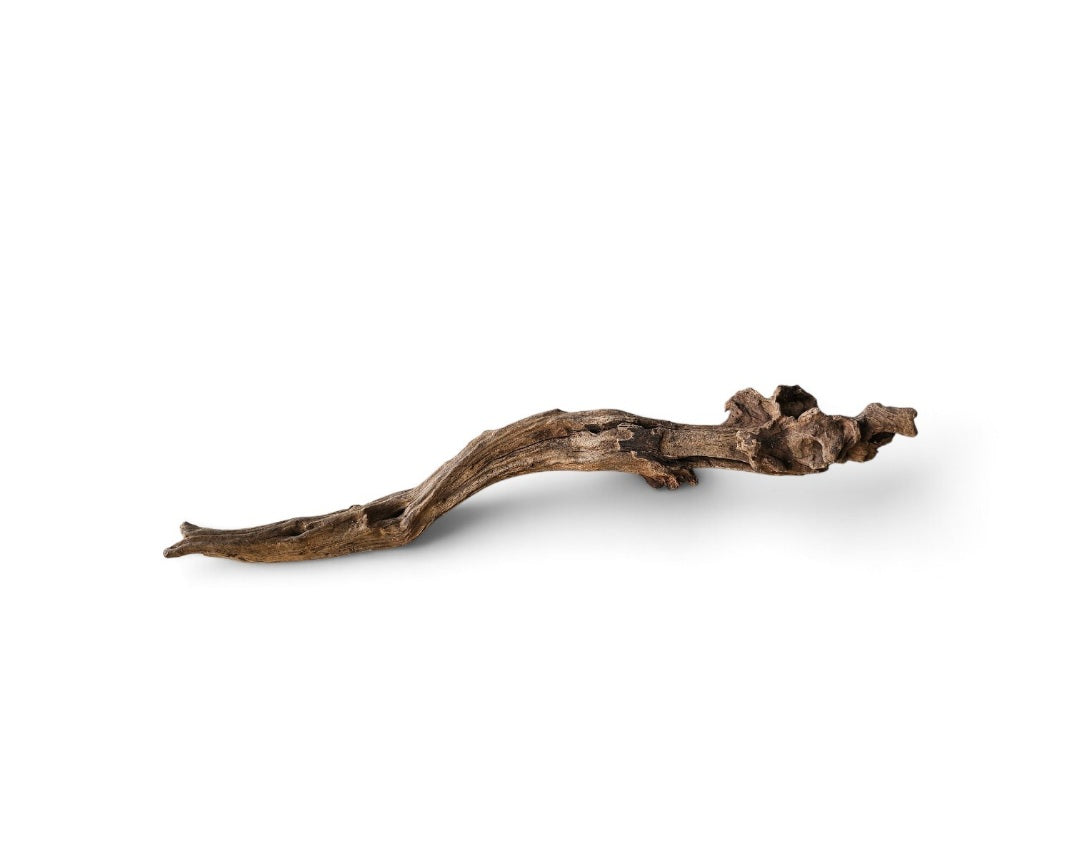 Coral Sinker Wood Nr. 133