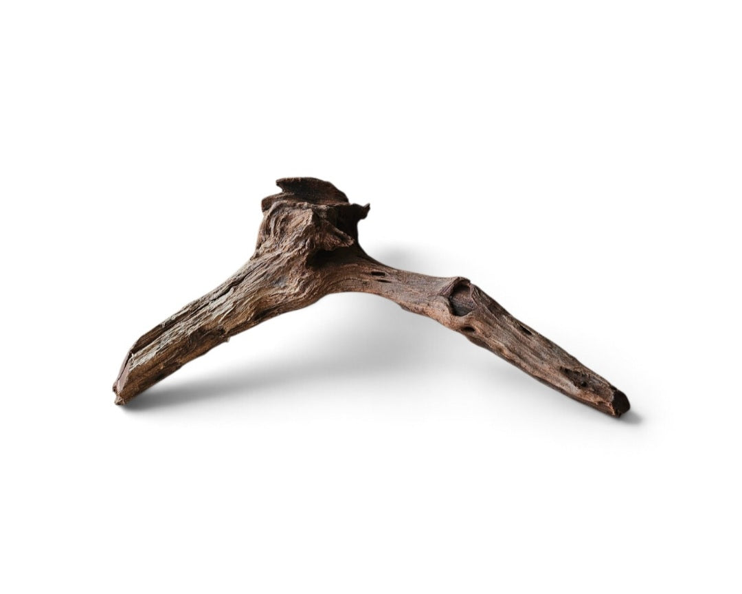 Coral Sinker Wood Nr. 877