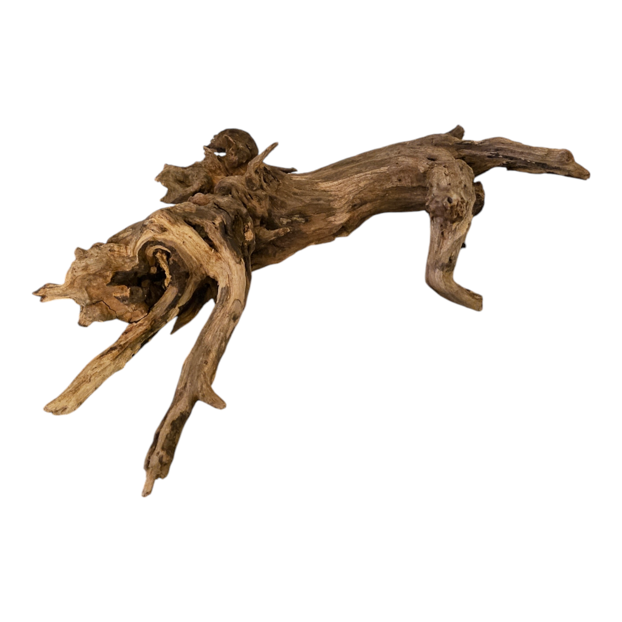 Coral Sinker Wood Nr.621