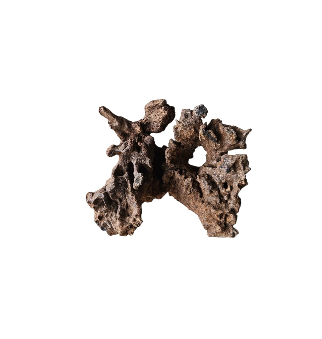 Coral Sinker Wood Nr. 888