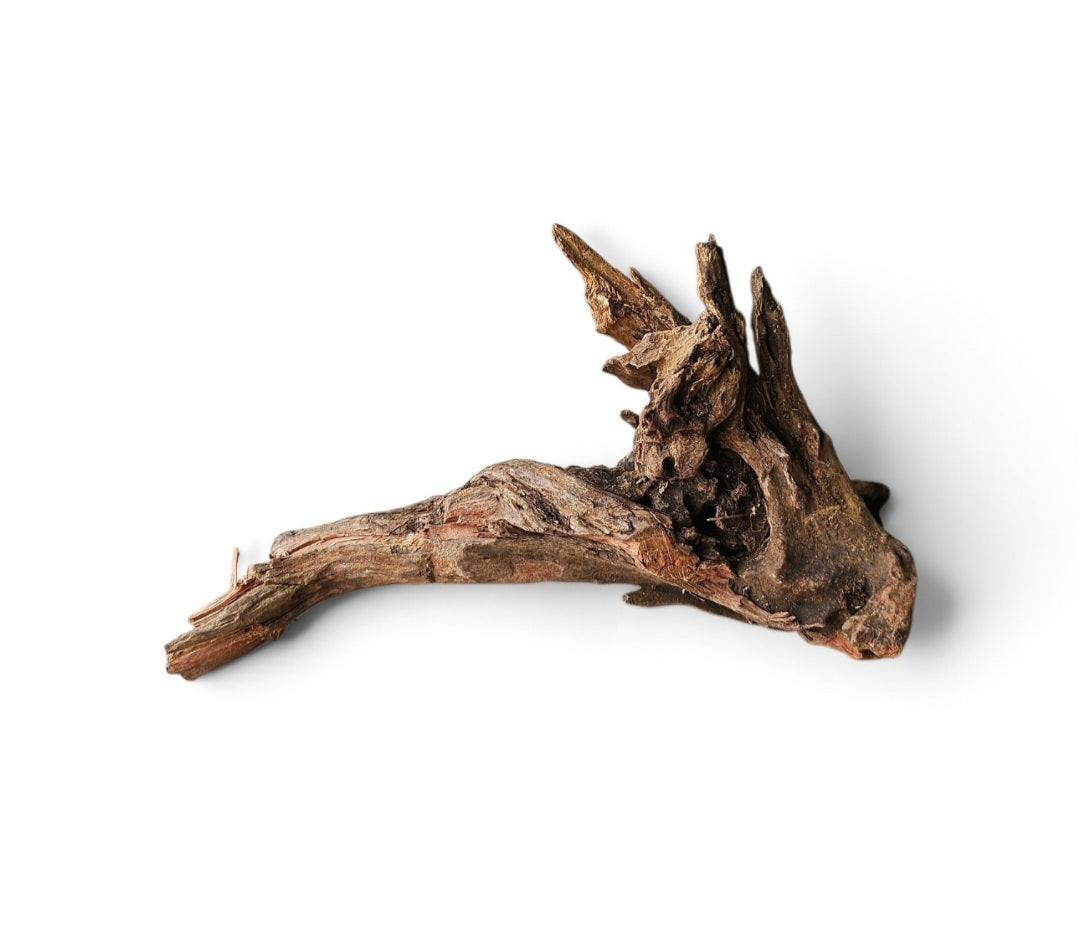 Coral Sinker Wood Nr. 152