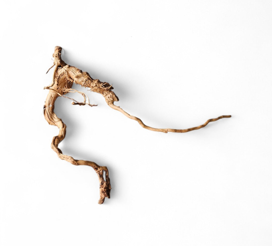 Dragon Wood / Curl Wood Wurzel 316