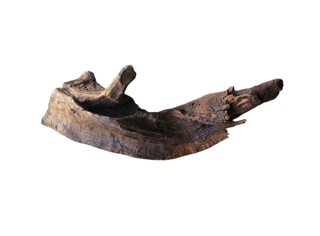 Driftwood / Flusswurzel Nr. 490