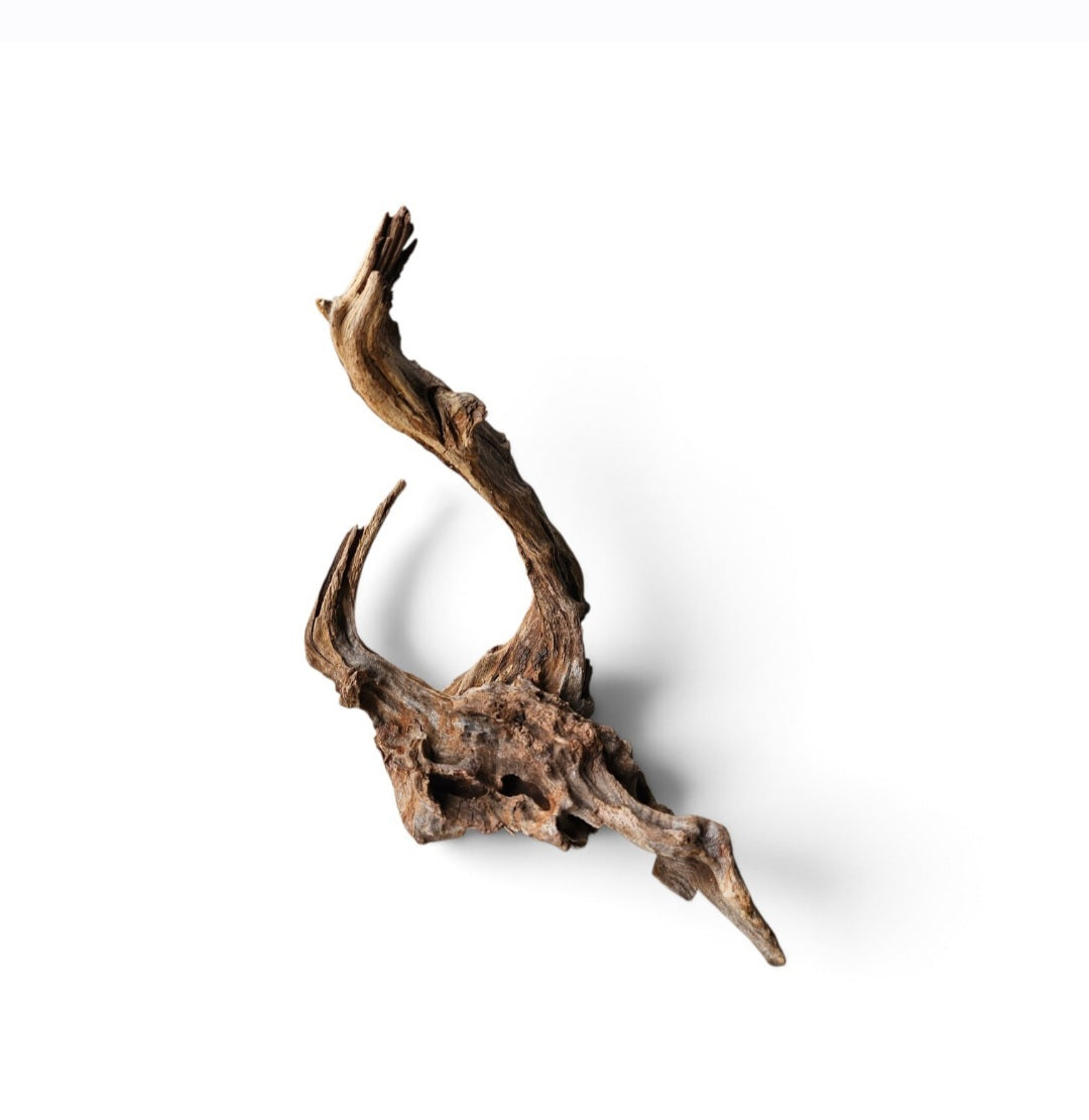 Coral Sinker Wood Nr. 104