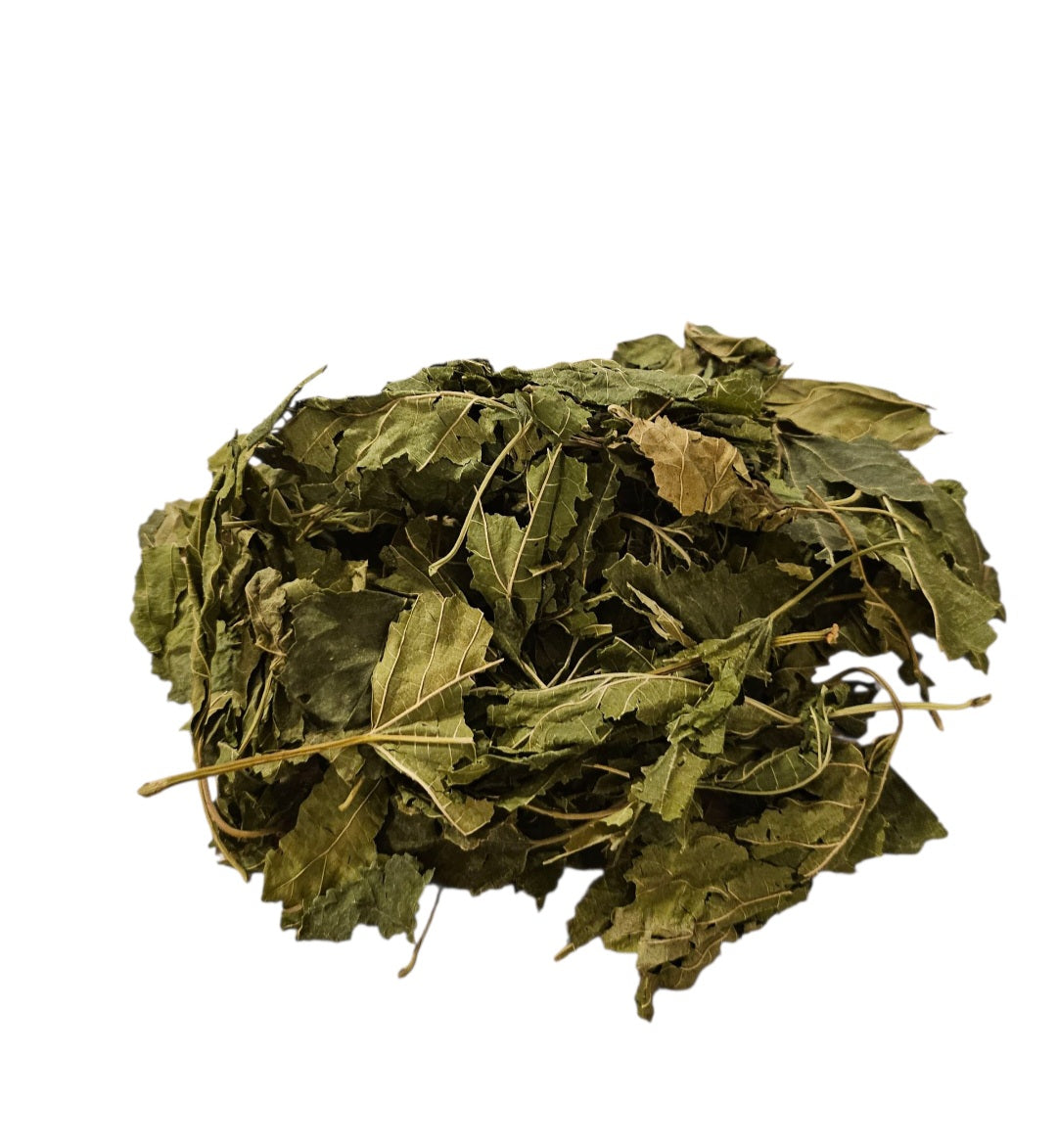 Maulbeerblätter grün getrocknet 10 Stück