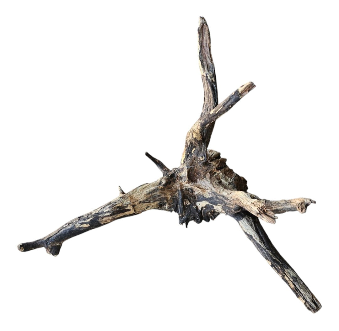 Black Slim Wood Größe M Nr.153