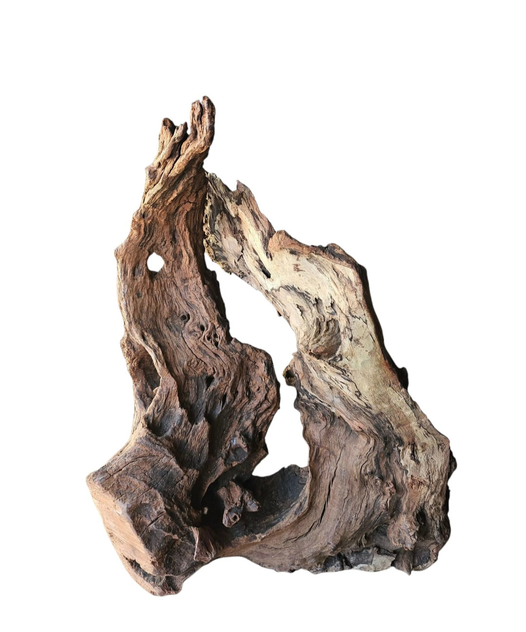 Driftwood / Flusswurzel Nr. 250