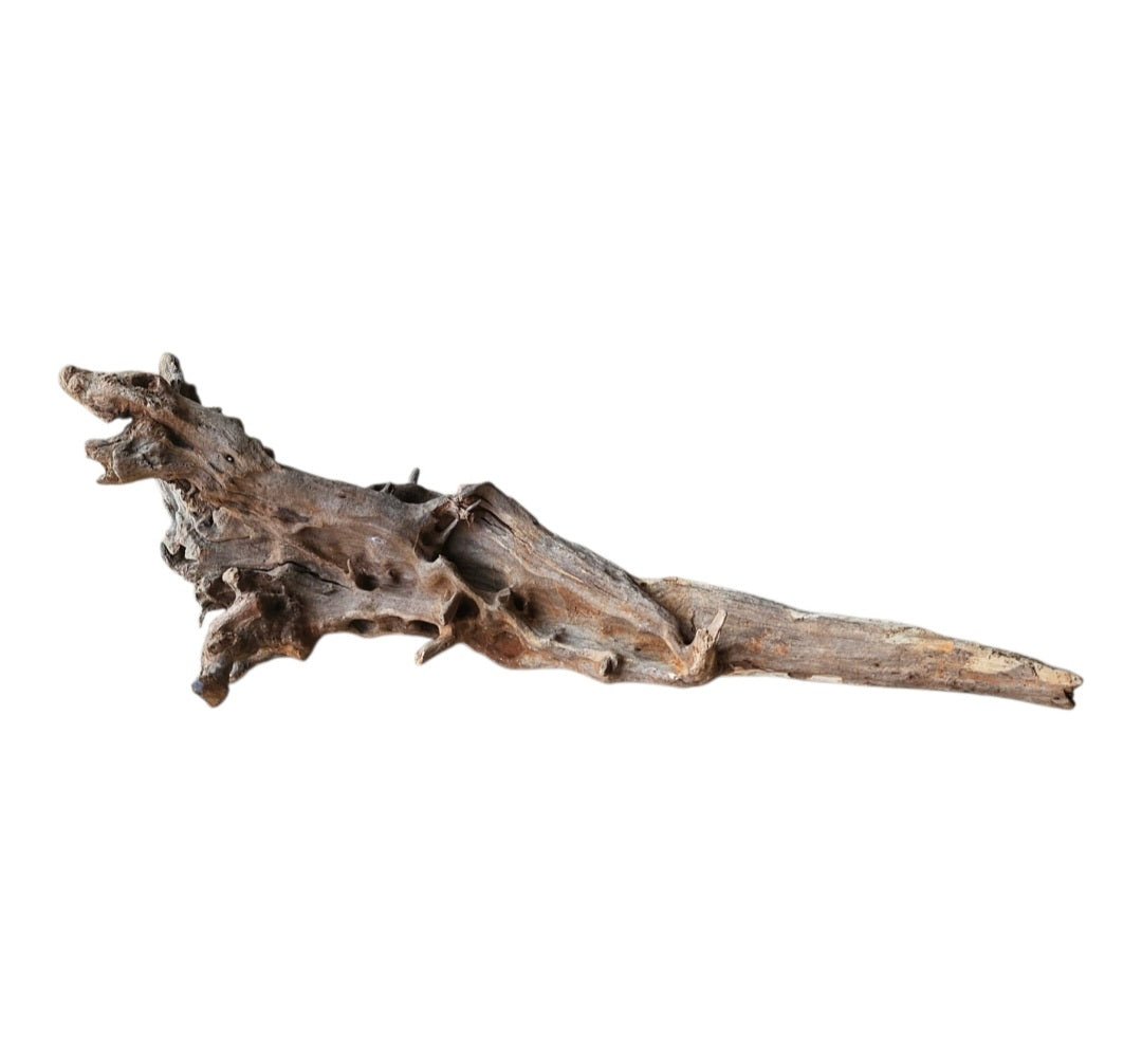 Coral Sinker Wood Nr. 875