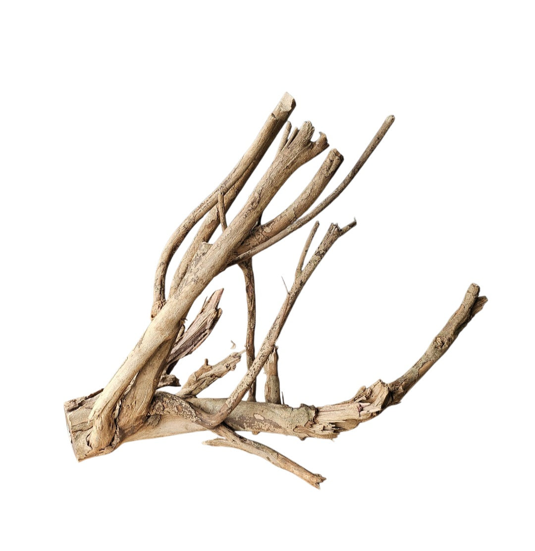 Talawa Holz / Wood 50-70 cm Nr. 226