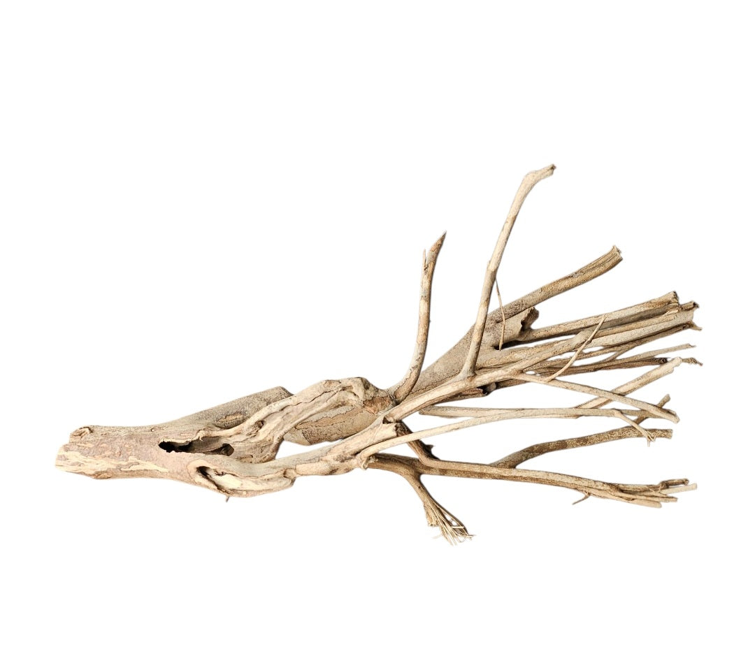 Talawa Holz / Wood 50-70 cm Nr.727