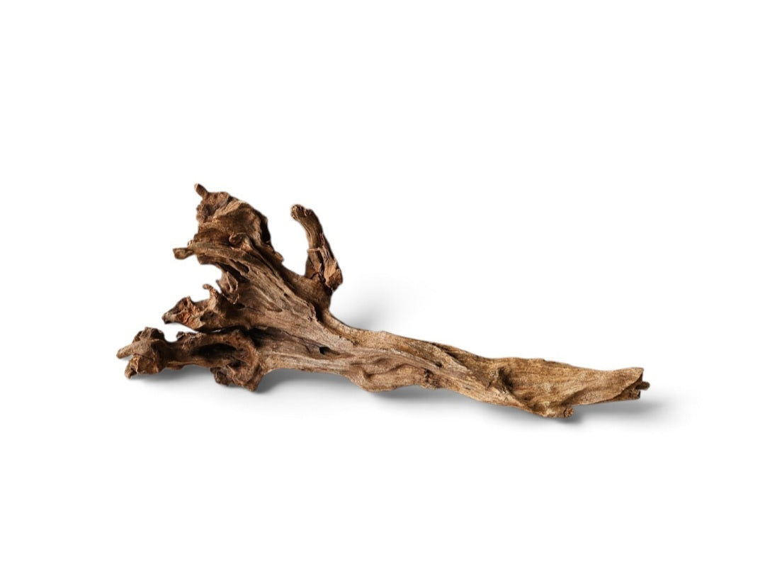 Coral Sinker Wood Nr. 464