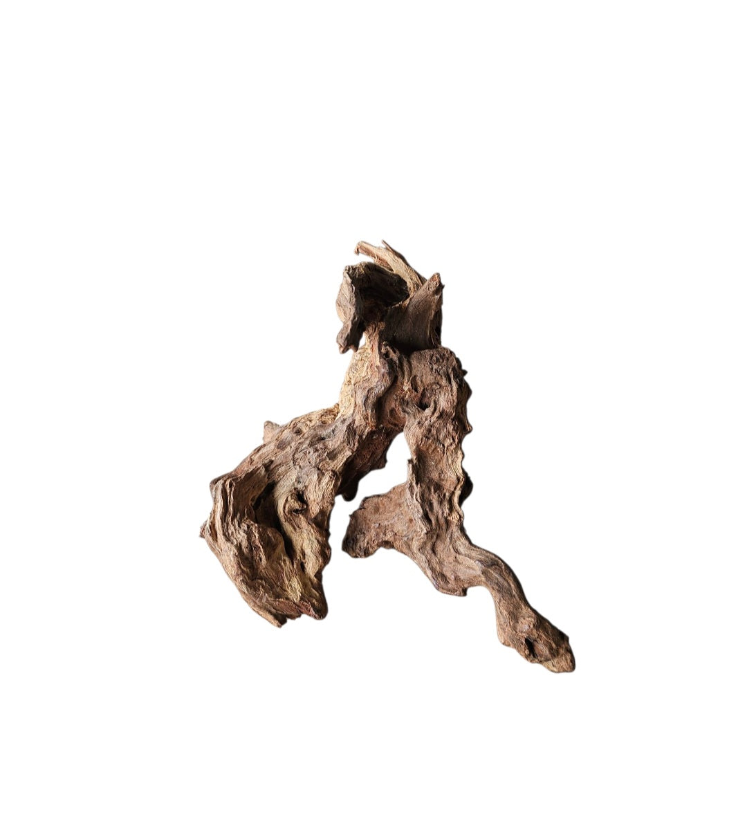 Coral Sinker Wood Nr. 889