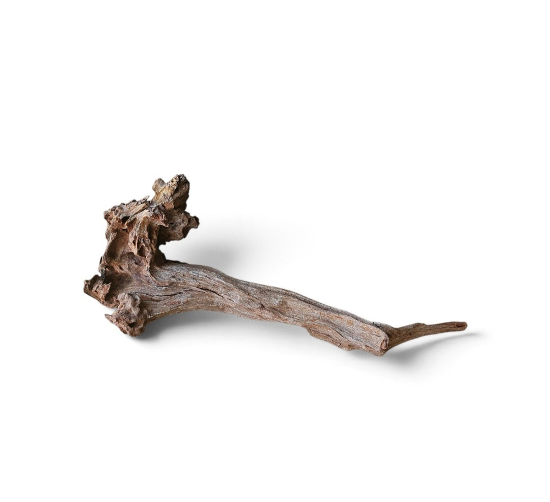 Coral Sinker Wood Nr.631