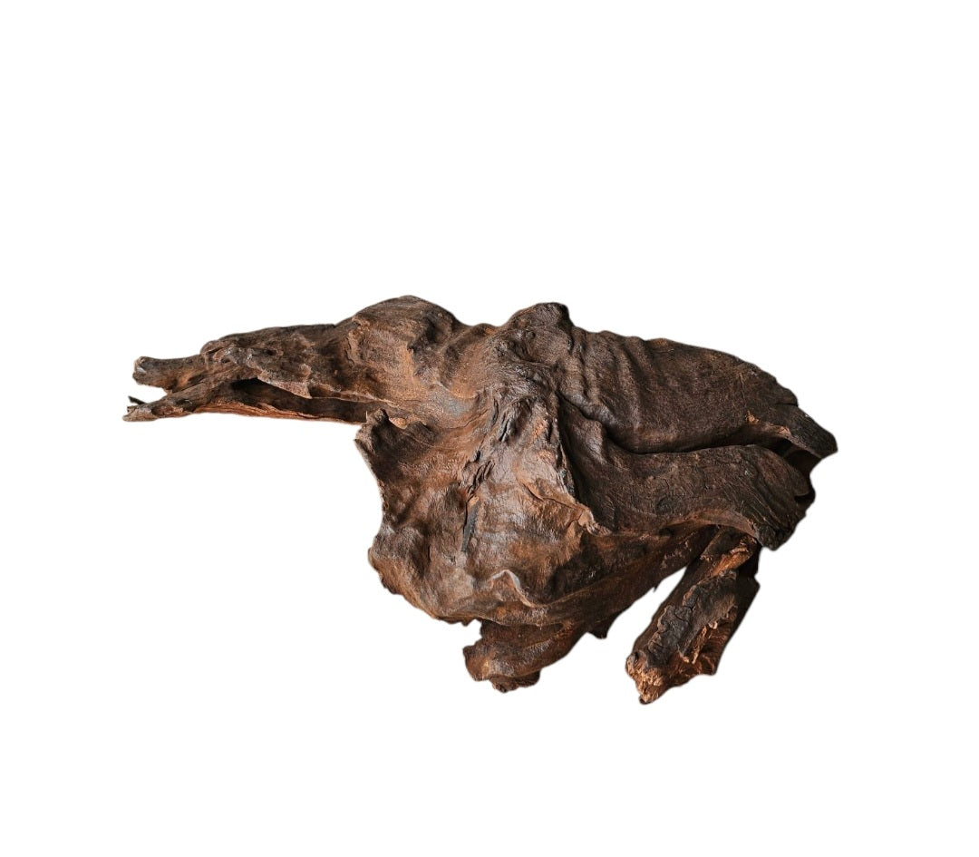 Driftwood / Flusswurzel Nr.314