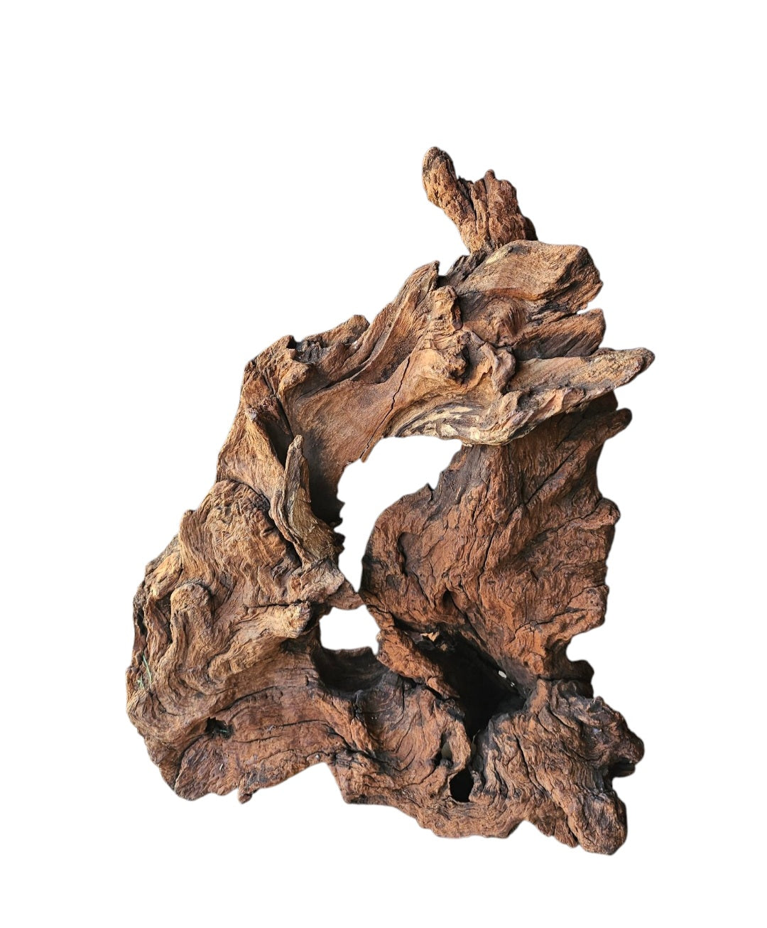 Driftwood / Flusswurzel Nr. 250