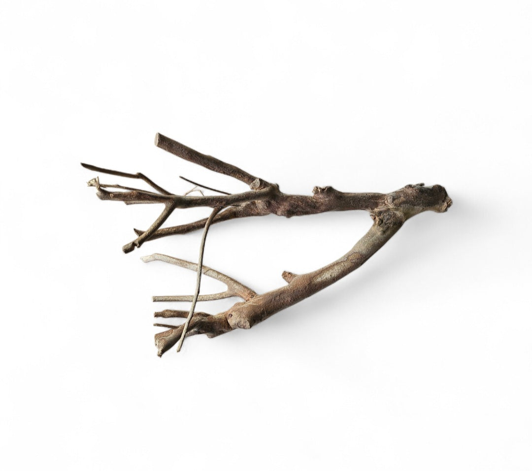 Talawa Wood 30-45cm Nr. 222