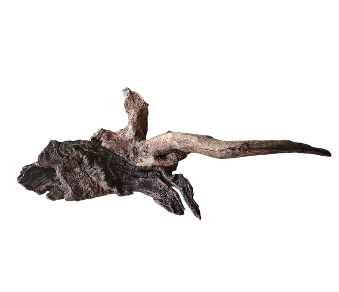 Driftwood / Flusswurzel Nr. 495