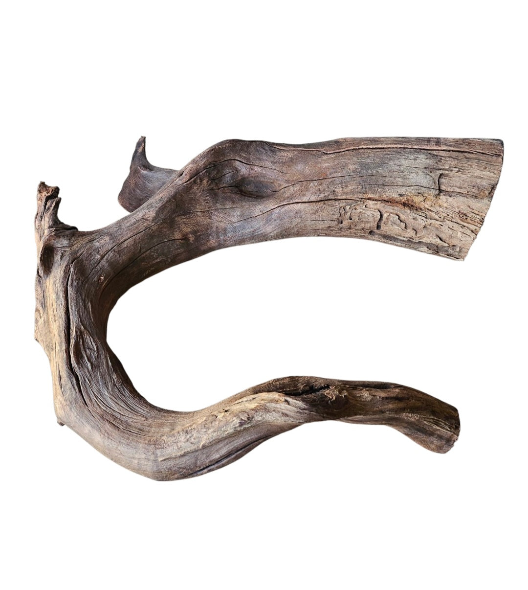 Driftwood / Flusswurzel Nr. 476