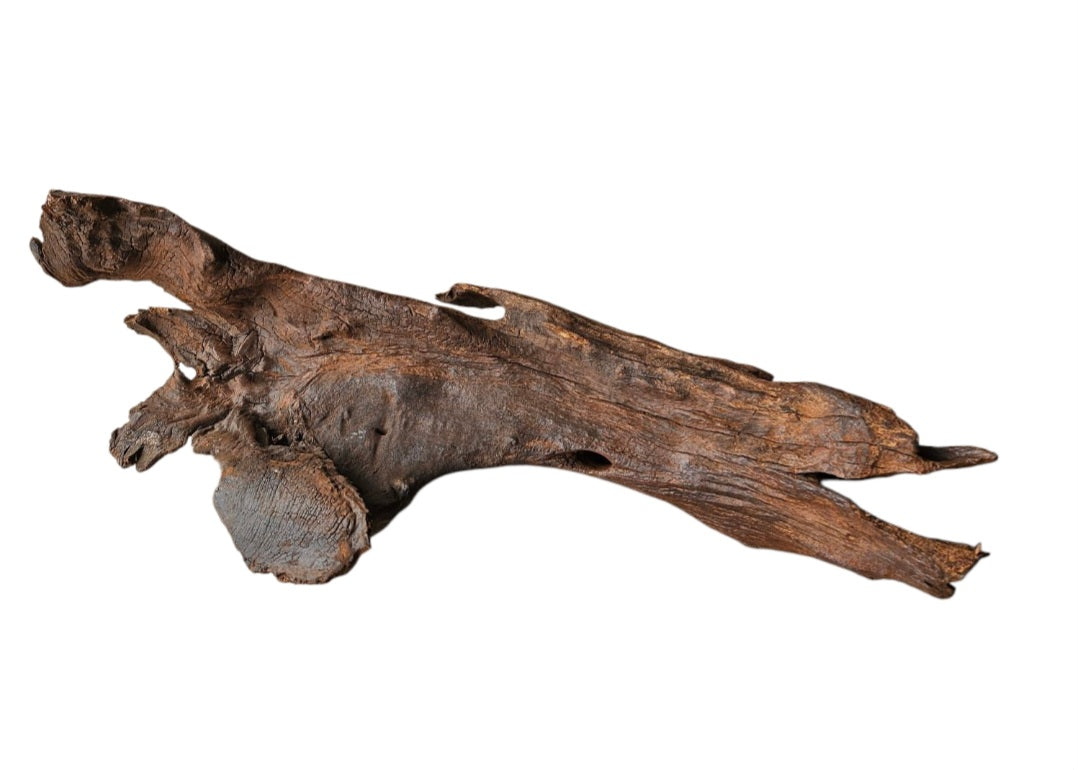 Driftwood / Flusswurzel Nr. 272