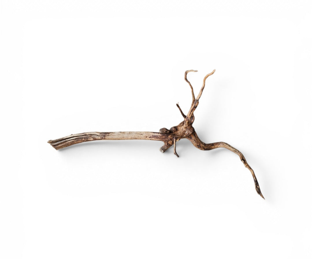 Dark Snake Wood Nr.577