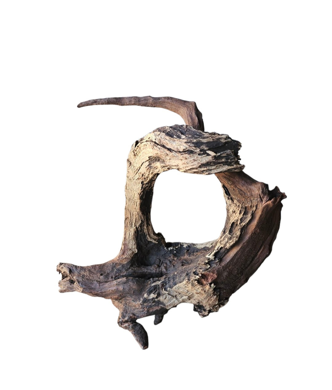 Driftwood / Flusswurzel Nr. 480