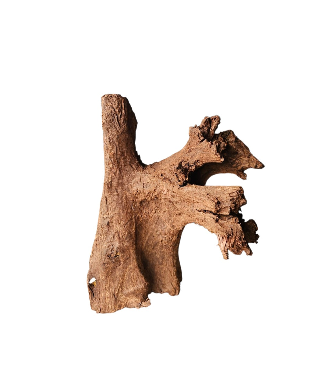 Mangrove Größe XL / Nr.386