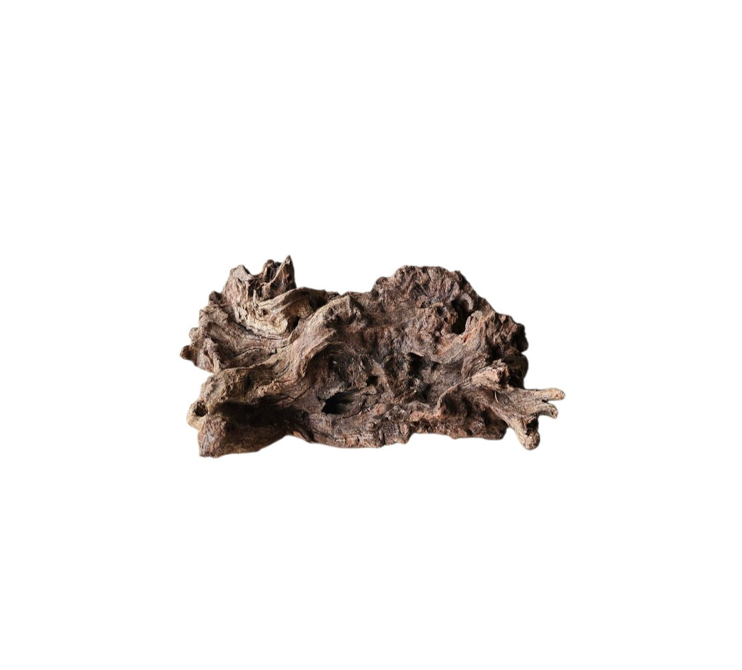 Coral Sinker Wood Nr.618