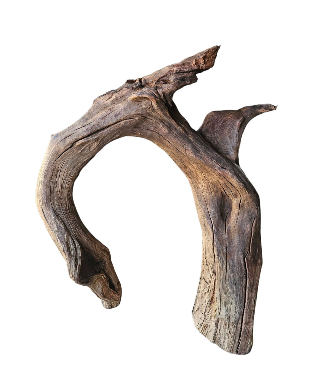 Driftwood / Flusswurzel Nr. 476