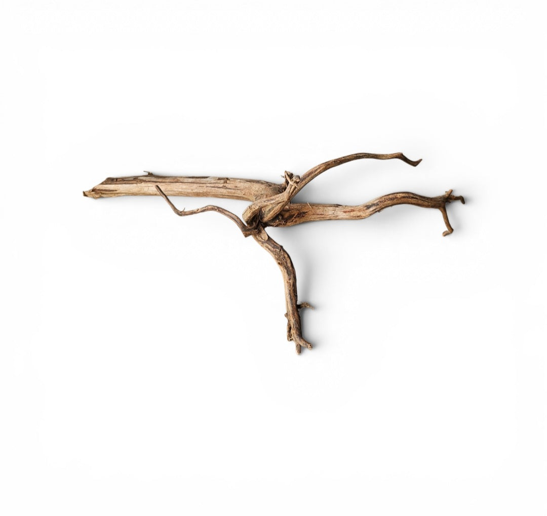 Dark Snake Wood Nr.453