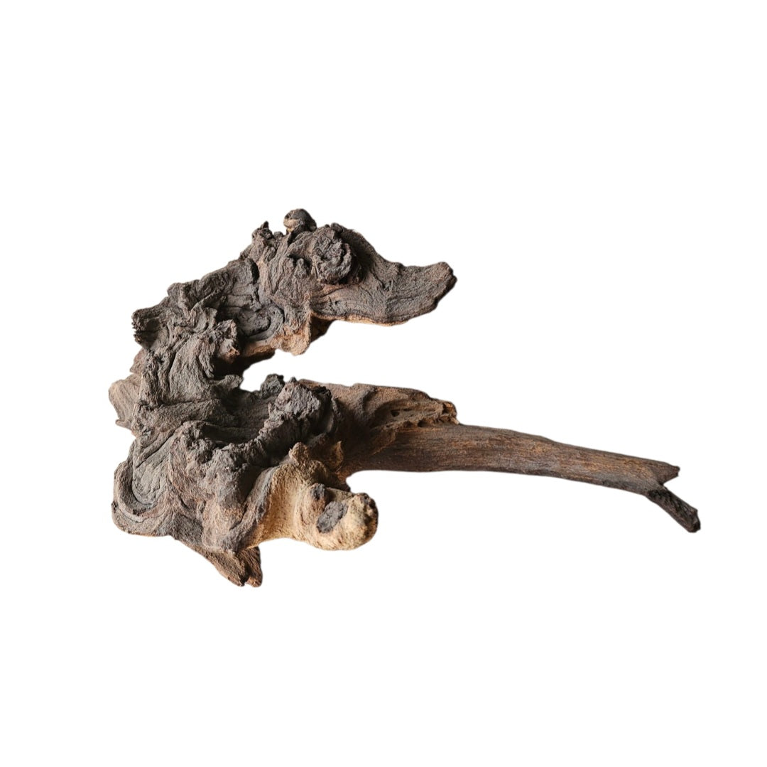 Mopani Wurzel Nr.819