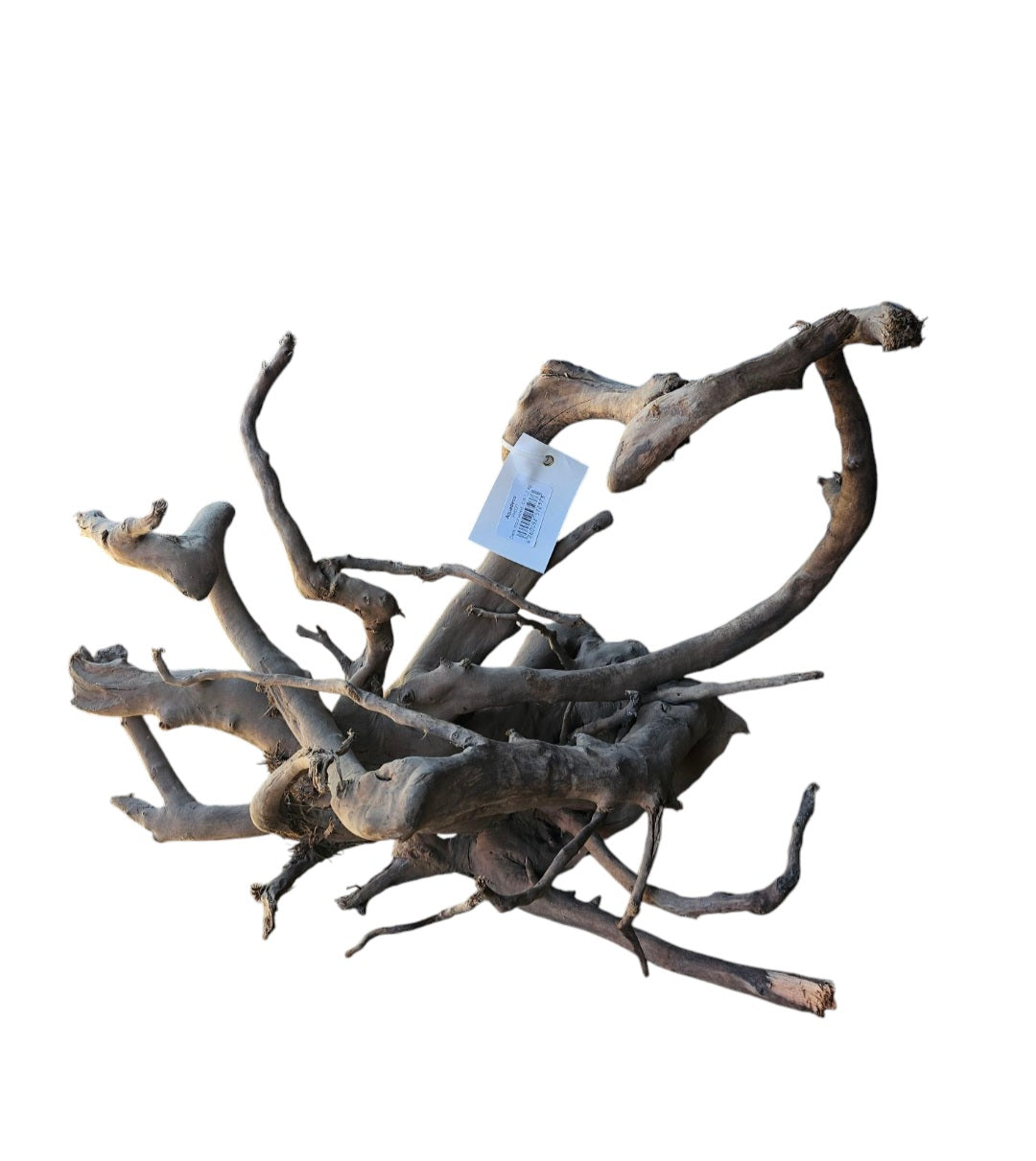 Dunkle Moorwurzel 40-55 cm Wurzel503