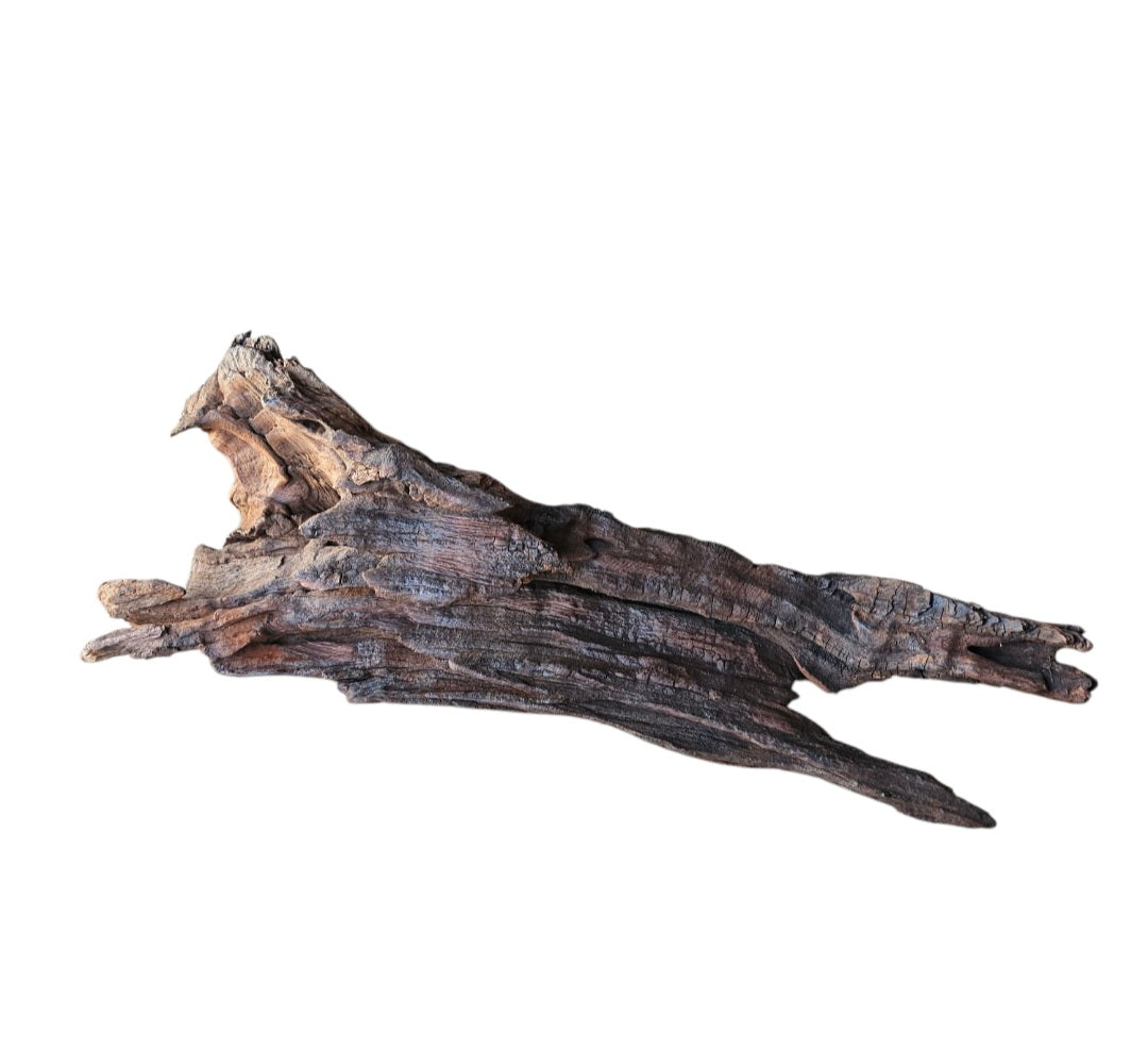 Driftwood / Flusswurzel Nr.11
