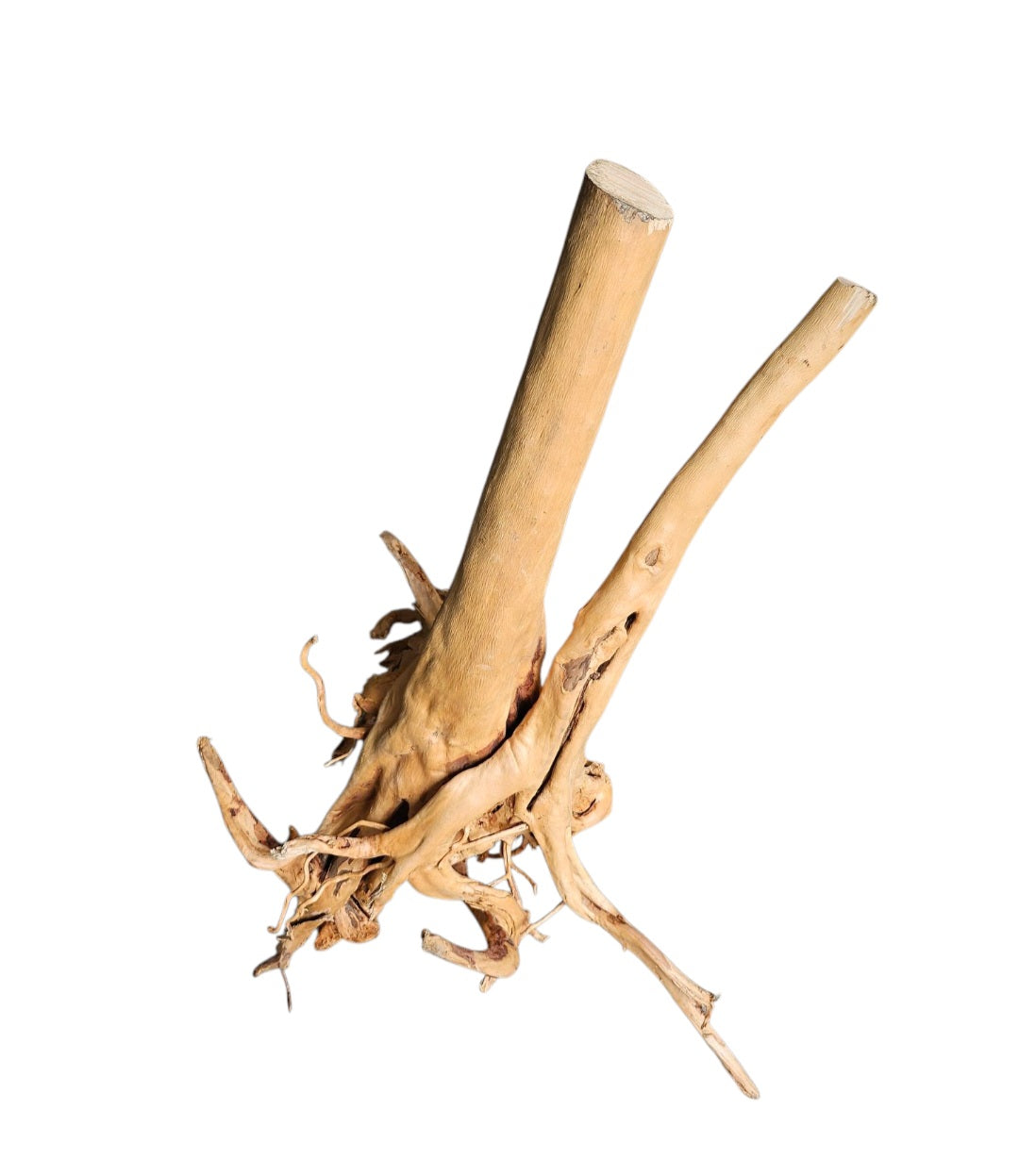 Rainforest Wood Stump Nr.470