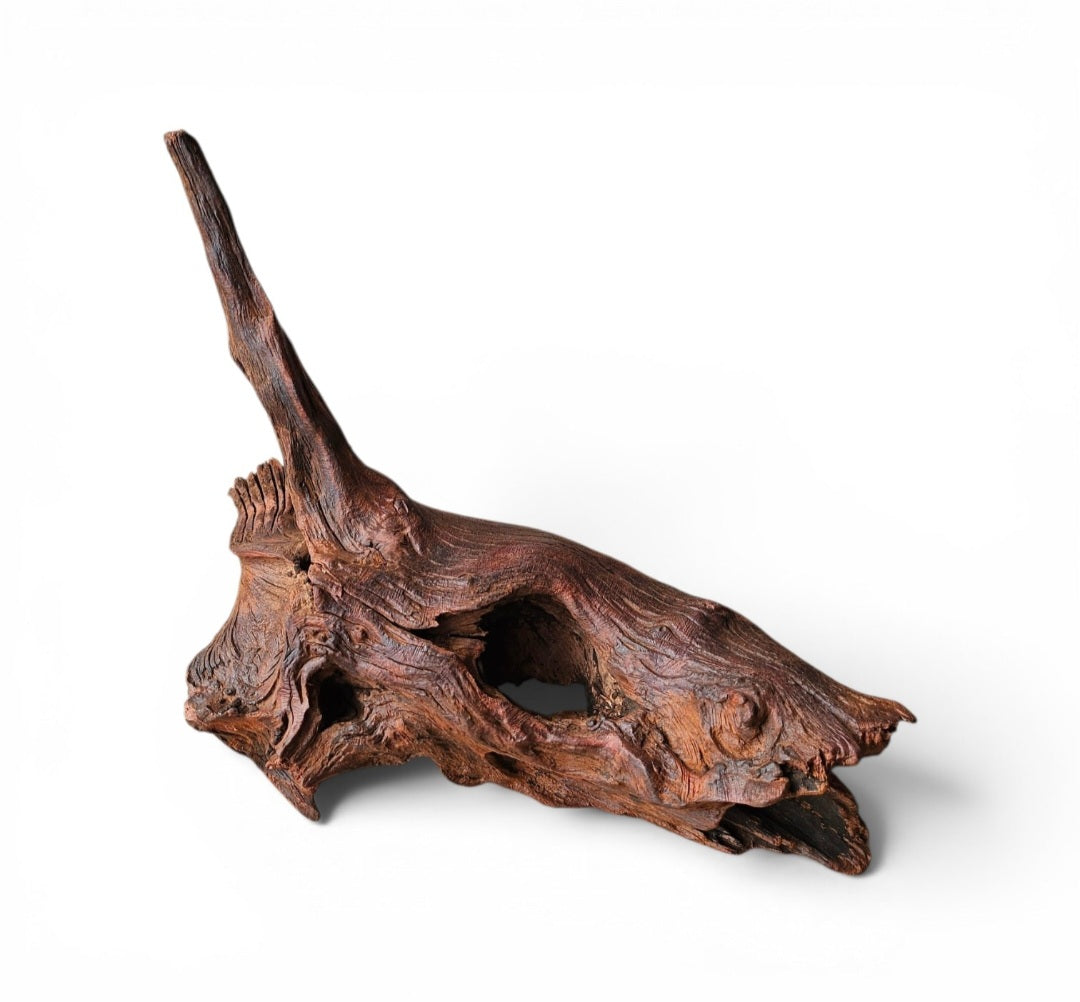 Driftwood / Flusswurzel Nr.11