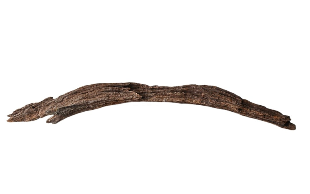 Driftwood / Flusswurzel Nr.336