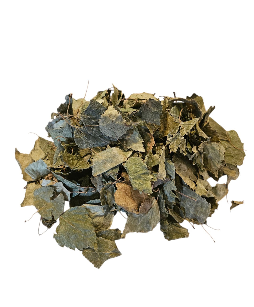 Birkenblätter grün 50 Stück