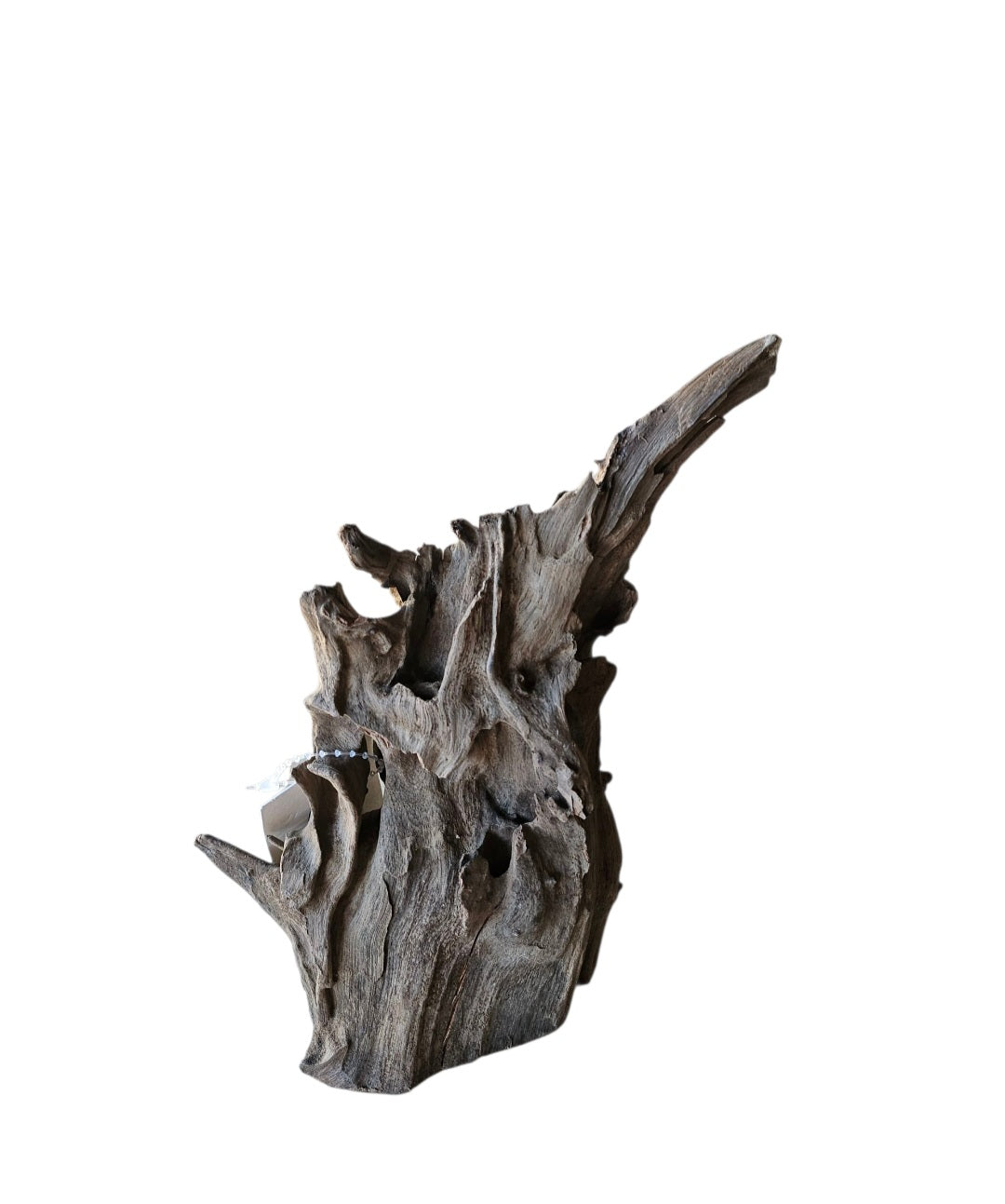 Corbo Wurzel Nano Nr.162