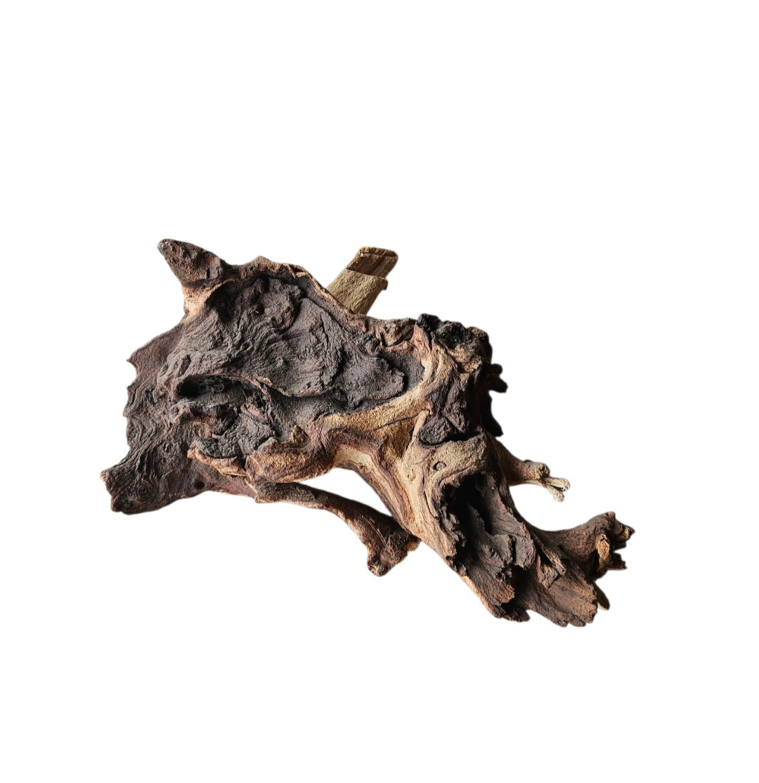 Mopani Wurzel Nr.735