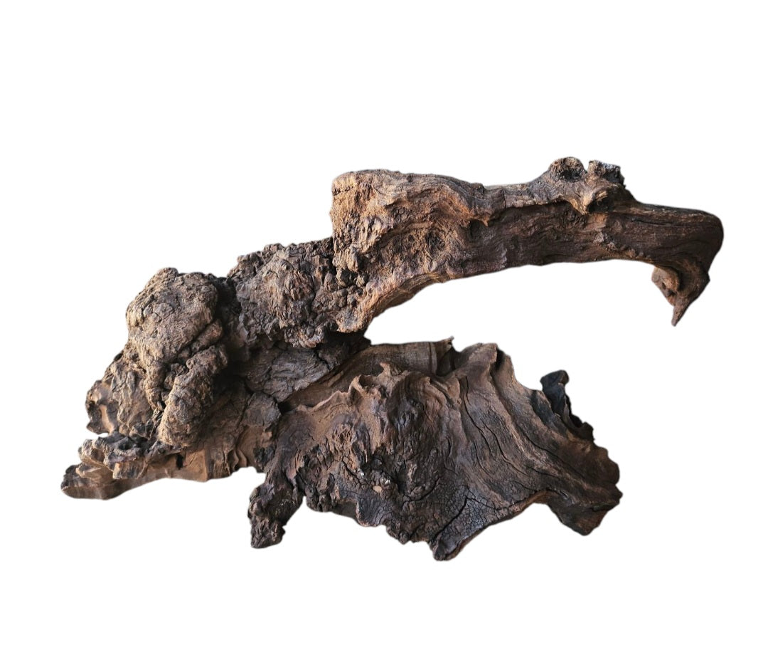 Driftwood / Flusswurzel Nr. 488