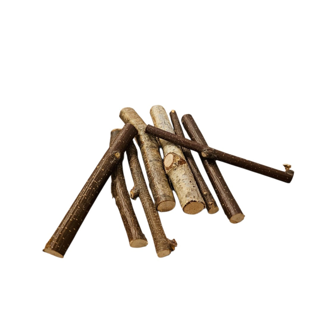 Birkenzweige - 7 Stück