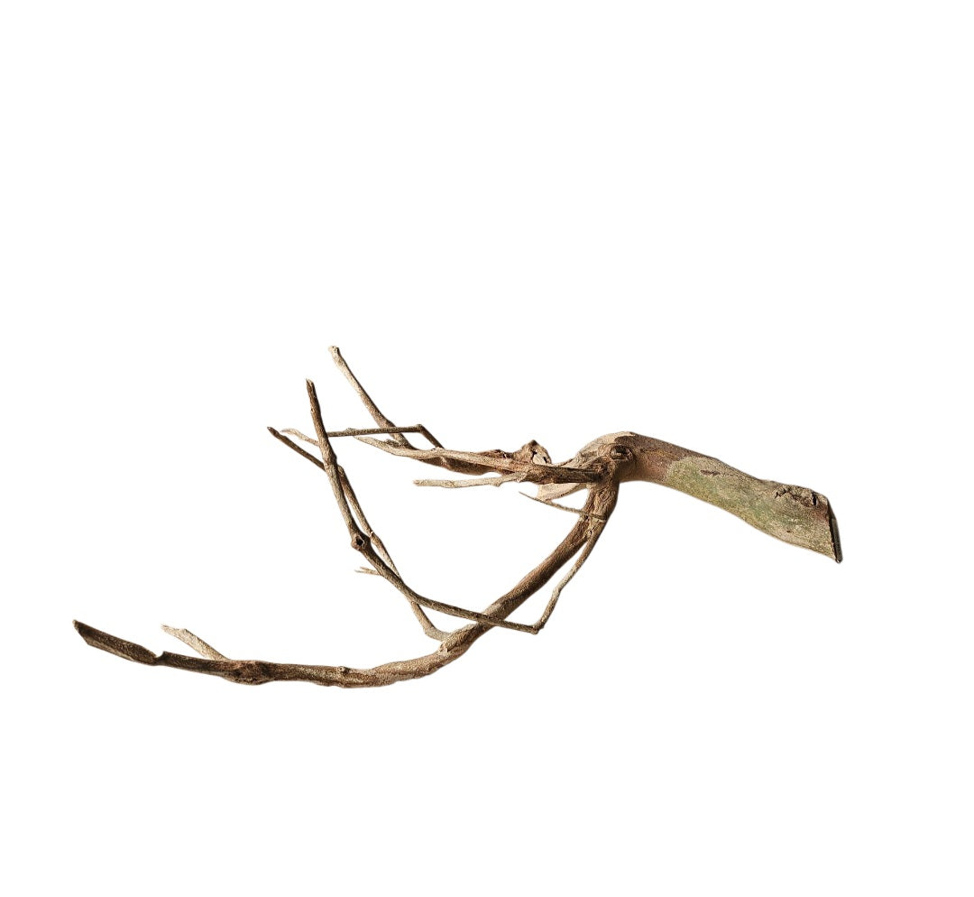 Talawa Holz/Wood 30-45cm Nr. 231